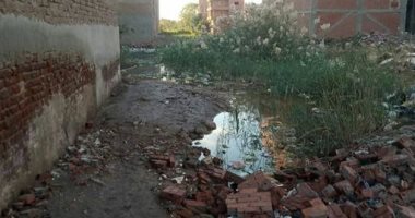 استجابة لـ"اليوم السابع"..محافظ الشرقية يوجه بحل أزمة تسريب مياه شارع الفالوجى