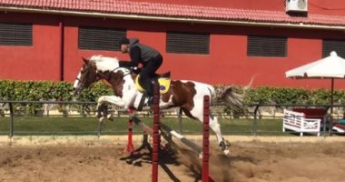 أحمد السقا: الحصان المصرى من أقوى الخيول العربية وأتمنى أن نطور السلالات