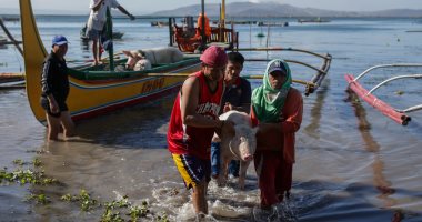 الفلبينيون يحاولون إنقاذ الحيوانات والماشية من الحمم البركانية