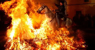 الأسبان يحتفلون بعيد القديس أنطونيوس بالفروسية فوق النار