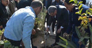 صور.. محافظ المنيا يغرس شجرة ضمن مبادرة "هنجملها" للحفاظ على البيئة