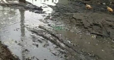 طريق مغطى بالطين وترعة معبأة بالقمامة.. شكوى أهالى قرية جرار محافظة البحيرة
