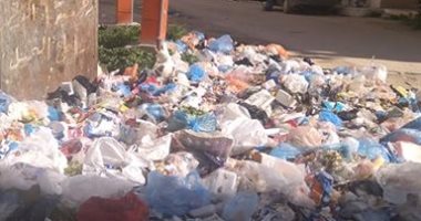شكوى من انتشار القمامة والأوبئة بمنطقة شاطئ النخيل فى الإسكندرية