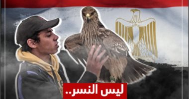 ليس النسر.. شاهد لأول مرة الطائر الحقيقى على علم مصر وطريقة تدريبه