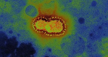 الهند تسجل 167 ألفا و59 إصابة جديدة بفيروس كورونا خلال 24 ساعة