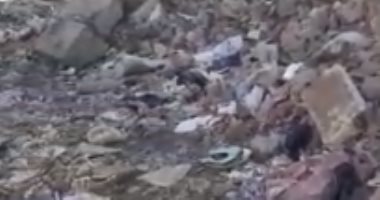 "سيبها علينا".. شكوى من انتشار القمامة فى قرية صفط أبوجرج بالمنيا