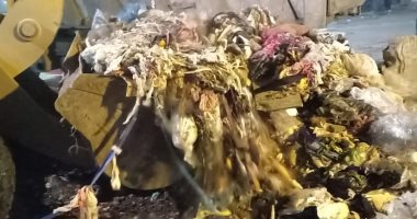 صور.. حملات نظافة موسعة بشوارع المحلة لرفع تراكمات القمامة