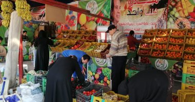 صور.. تعرف على أسعار اللحوم والخضروات والفواكه بأسواق محافظة الغربية