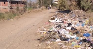 شكوى من انتشار القمامة والأوبئة بقرية مشيرف الباجور بالمنوفية