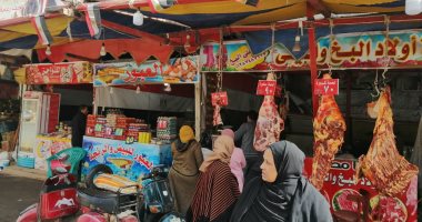 صور.. تعرف على أسعار اللحوم والخضروات والفاكهة بأسواق محافظة الغربية