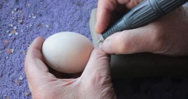 12 ألف ثقب.. فنان يكسر الرقم القياسى لأكثر عدد نقوش على بيضة