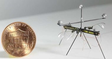 "روبوت الحشرة" بحجم عملة صغيرة يطير ويكتشف تسرب الغاز .. صور 