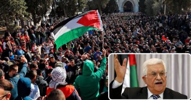 أكاديمى فلسطينى يشيد بدور مصر لدعم القضية الفلسطينية
