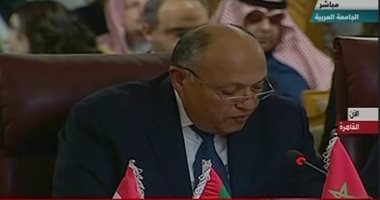 سامح شكرى أمام وزراء خارجية العرب: موقف مصر من القضية الفلسطينية ثابت