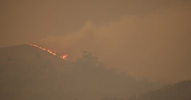 حرائق الغابات تخرج عن السيطرة فى أستراليا وحرق 35 ألف هكتار.. صور