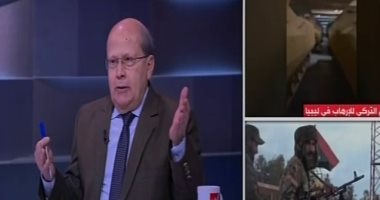 عبد الحليم قنديل: قرارت مجلس الأمن على حسب المزاج.. فيديو