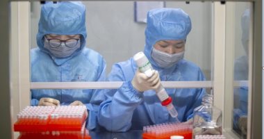 أستاذ علم الفيروسات: الصين ستعلن قريبا عن دواء لعلاج مرضى كورونا