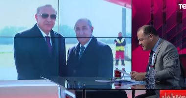 "الديهى": أردوغان بلطجى المنطقة ورجل بلا مروءة.. فيديو