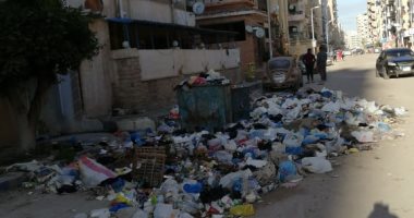 شكوى من تراكم القمامة فى شاطئ النخيل طريق إسكندرية مطروح