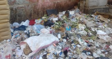 صور.. القمامة تحاصر أسوار مدرسة فاطمة الزهراء فى جزيرة بدران بروض الفرج