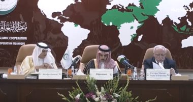 وزير الخارجية السعودية: القضية الفلسطينية تشهد مرحلة دقيقة وحساسة