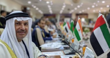قرقاش من اجتماع منظمة التعاون الإسلامي: الإمارات تدعم حقوق الشعب الفلسطيني