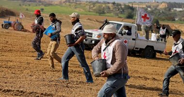 صور.. الفلسطينيون يزرعون أرض غزة بمساعدة من الصليب الأحمر 