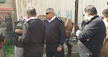 سلطات مدينة الأقصر تشن حملة على قائدى عربات الحنطور وضبط 7 عربات مخالفة