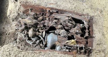 كنوز مدفونة.. العثور على 350 قطعة أثرية داخل صندوق مخبأ تحت الأرض فى بولندا