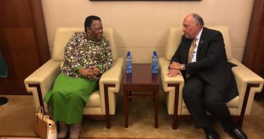 شكرى يبحث مع وزيرة خارجية جنوب أفريقيا التنسيق بشأن قضايا الاتحاد الأفريقى