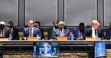 الرئيس السيسي ينشر جزءًا من كلمته في قمة مجلس السلم والامن الإفريقي حول ليبيا