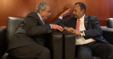 عمرو موسى يجتمع مع رئيس وزراء السودان على هامش القمة الأفريقية