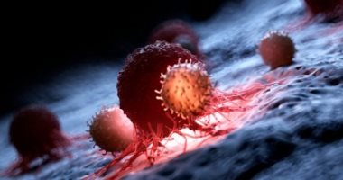 أمل جديد فى علاج السرطان ..  تدريب جهاز المناعة على قتل الأورام 