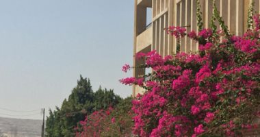 مدرس لغة إنجليزية بسوهاج ينفى واقعة دهسه على يد طالب