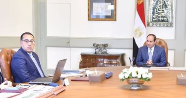 الرئيس السيسى يوجه بمواصلة تنفيذ مشروعات الربط الكهربائي مع دول الجوار