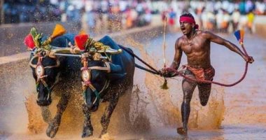 عامل هندى يكسر رقم العداء التاريخى أوسين بولت فى سباق بحقول الأرز