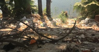 شكوى من انتشار القمامة بشارع سعيد ذو الفقار بالمنيل 