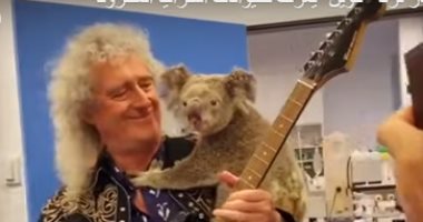 فيديو.. راين ماى يعزف الموسيقى للحيوانات ضحايا حرائق أستراليا