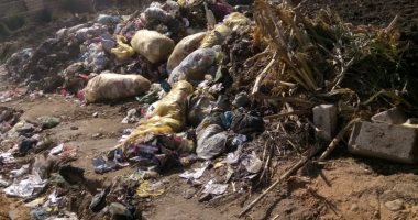 رفع القمامة والمخلفات وتغطية بركة بقرية دمشير بالمنيا استجابة لشكاوى الاهالى