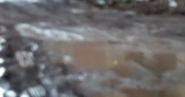 قارئ يطالب برصف شارع حولته الأمطار إلى بركة طين بدمنهور