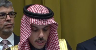 وزير الخارجية السعودى يؤكد ضرورة عدم التدخل فى شؤون الدول العربية