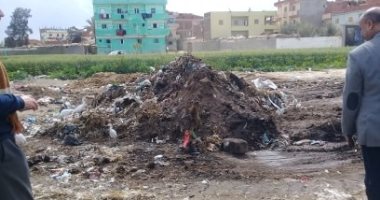 قارئة تشارك بصور لحملات النظافة بشوارع عزبة كشكة فى الشرقية