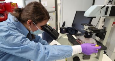 علماء بجامعة لوفين البلجيكية يجرون أبحاثا لإيجاد علاج ضد فيروس كورونا
