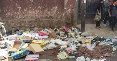 شكوى من تراكم القمامة بمركز القوصية بمحافظة أسيوط