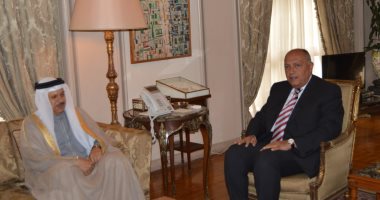وزير الخارجية لنظيره البحريني: مصر تدعم أمن واستقرار دول الخليج العربي