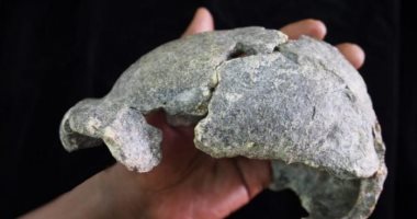 عمرها 1.5 مليون سنة.. اكتشاف بقايا أقدم جمجمة فى إثيوبيا