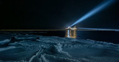 التلوث الناجم عن أضواء السفن يضر بالحيوانات البحرية فى القطب الشمالى