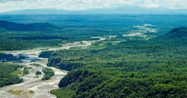 جارديان: زيادة حادة فى معدل تدمير غابات العالم فى 2020