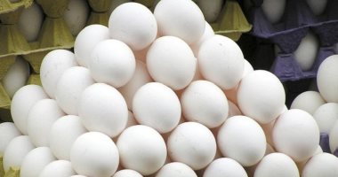 مزارعون بريطانيون يحثون المستهلكين شراء البيض الأبيض.. تعرف على السبب