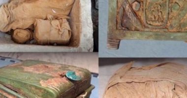  علماء الآثار فى حيرة لماذا تم التضحية بـ بجعة قديمة بموقع الدير البحرى؟